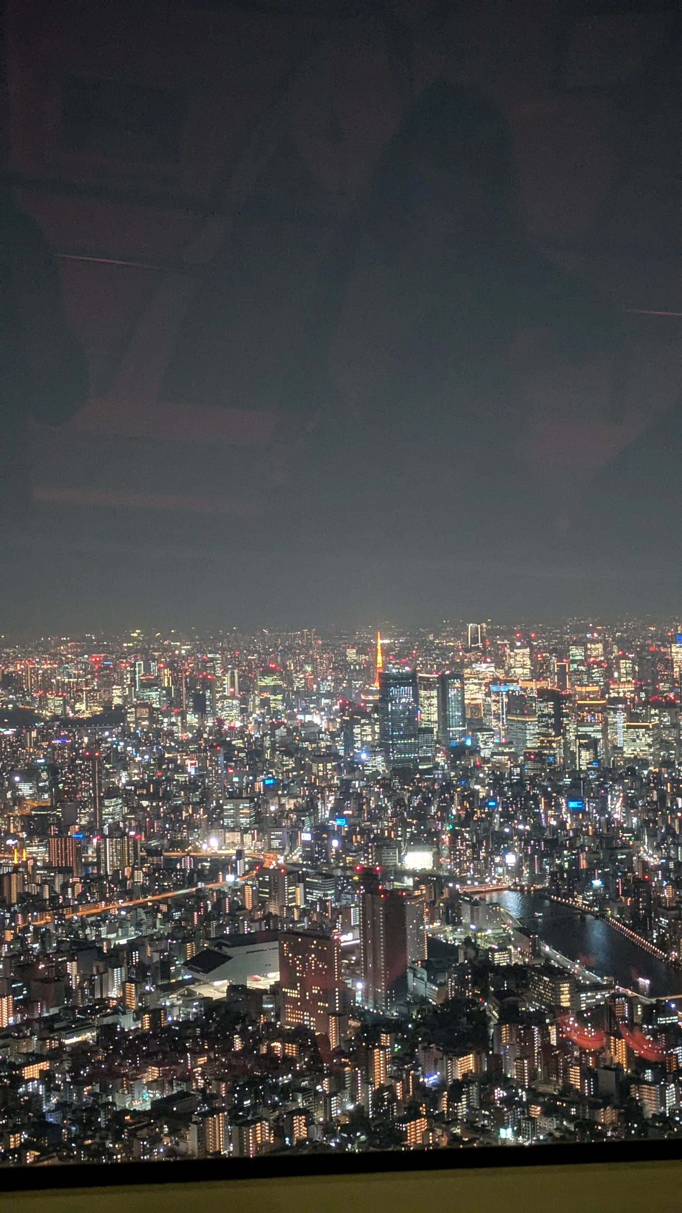 Vue panoramique depuis le Tembo Deck de la Tokyo Skytree