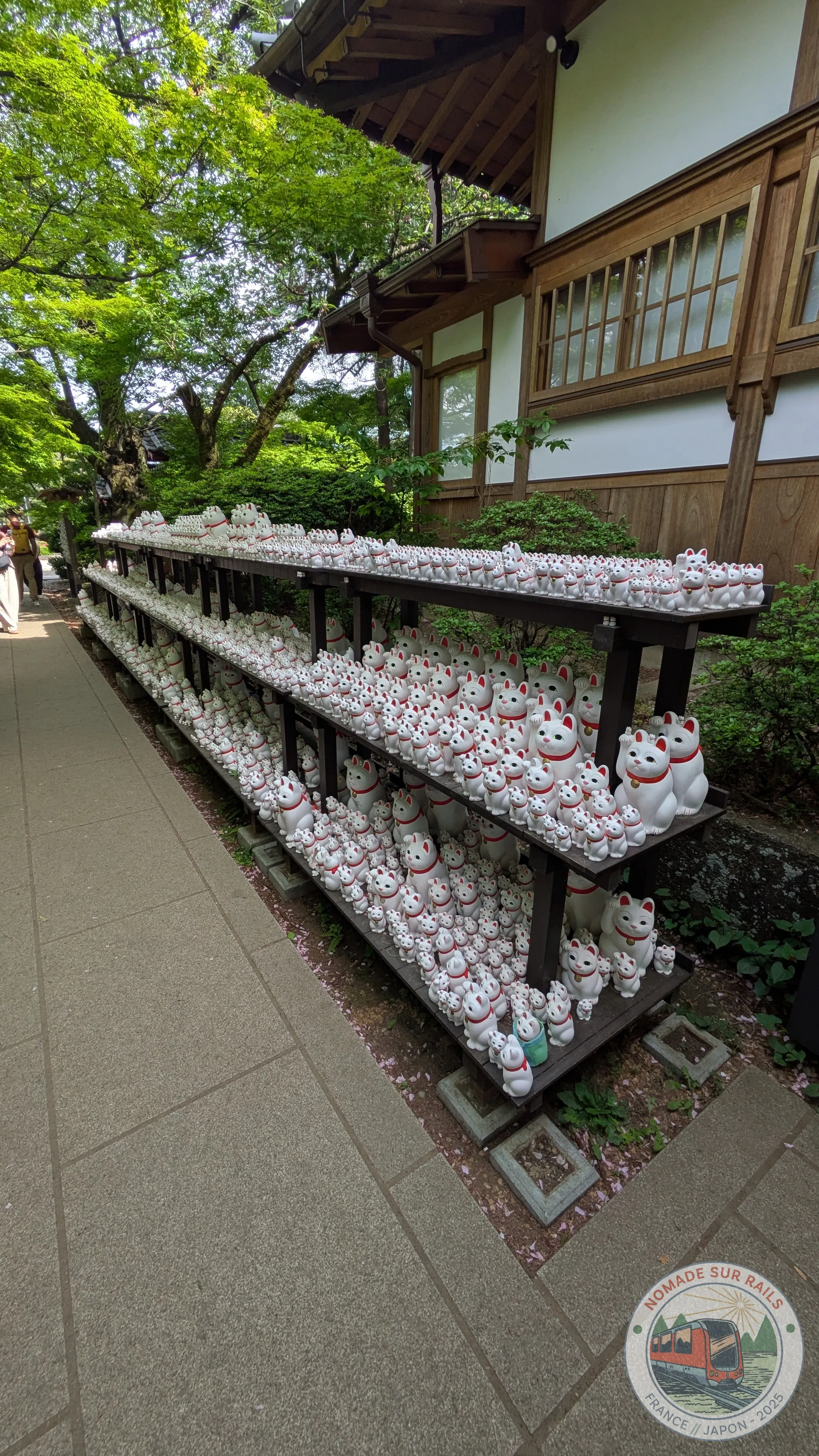 Des centaines de maneki-neko alignés