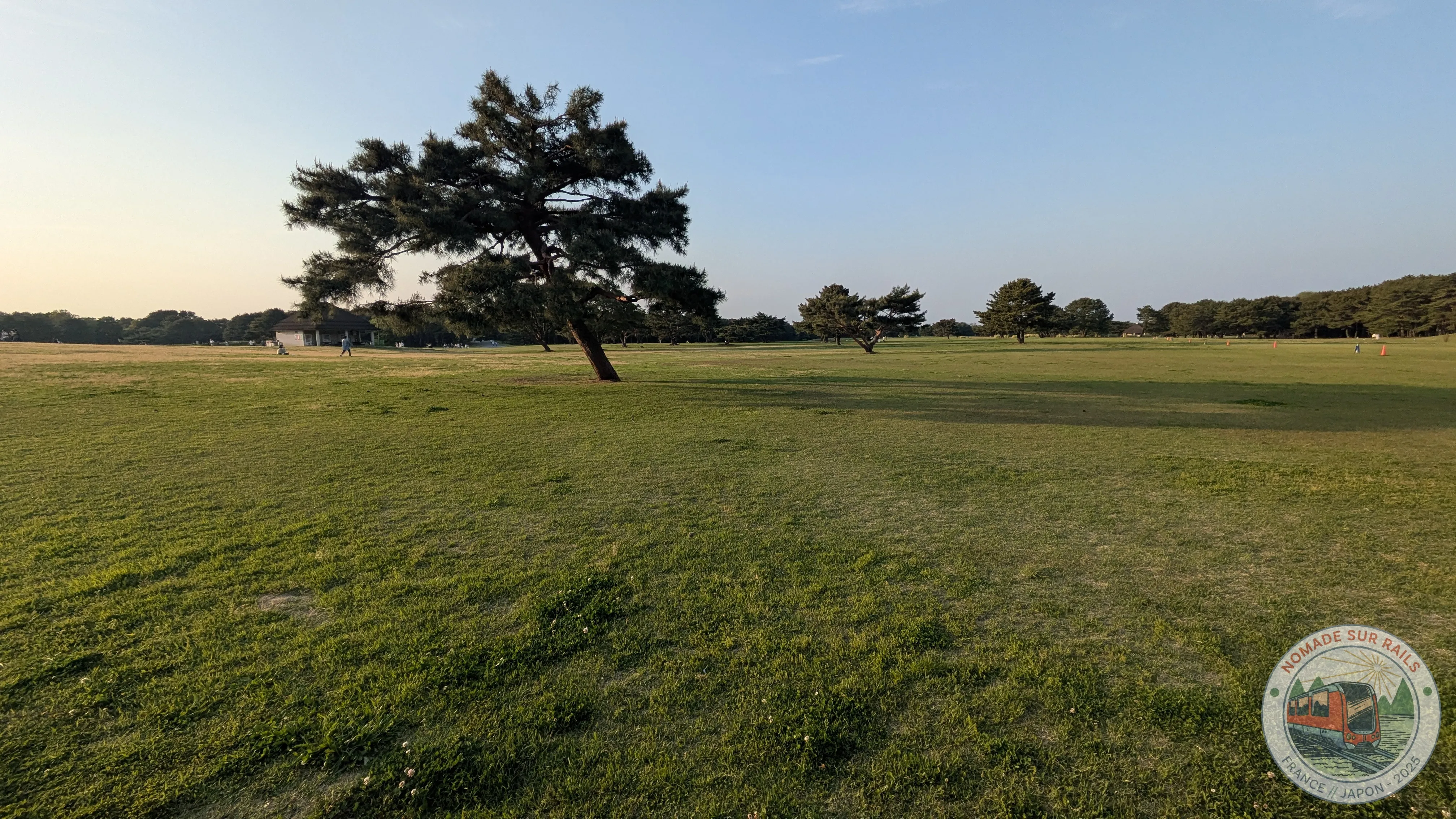 Pelouse et arbres au parc Hitachi Seaside