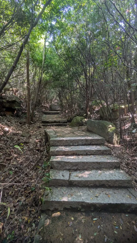 Ascension du Mont Misen : vue sur l'île sacrée de Miyajima