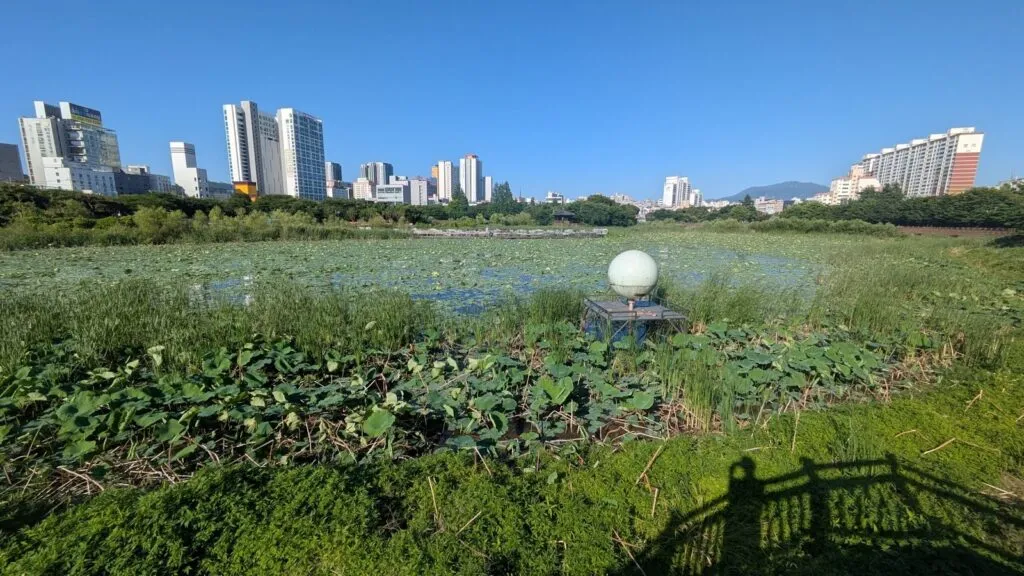 Visiter Gwangju : entre histoire, mémoire et nature