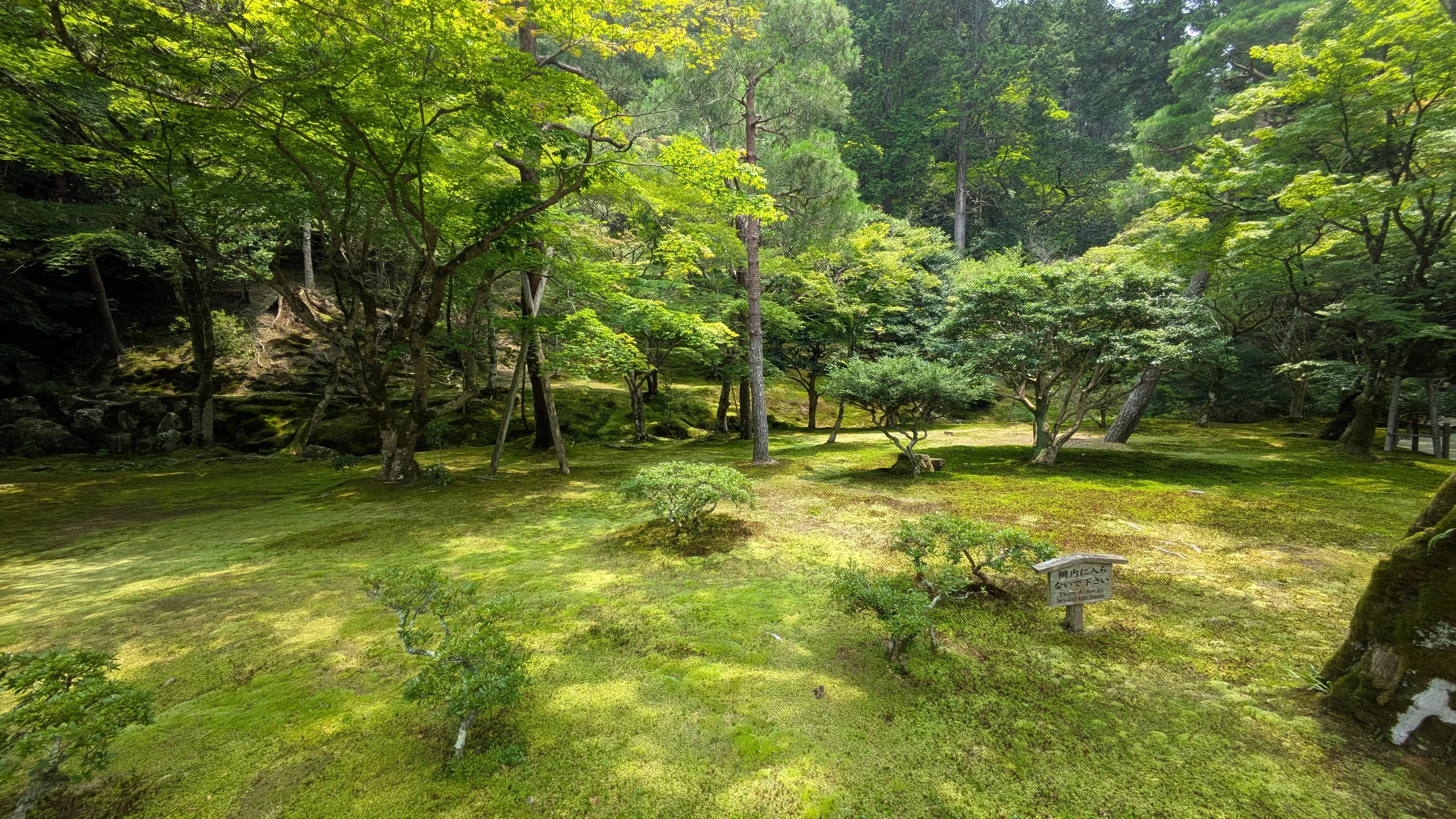 Jardin de mousse du Ginkaku-ji