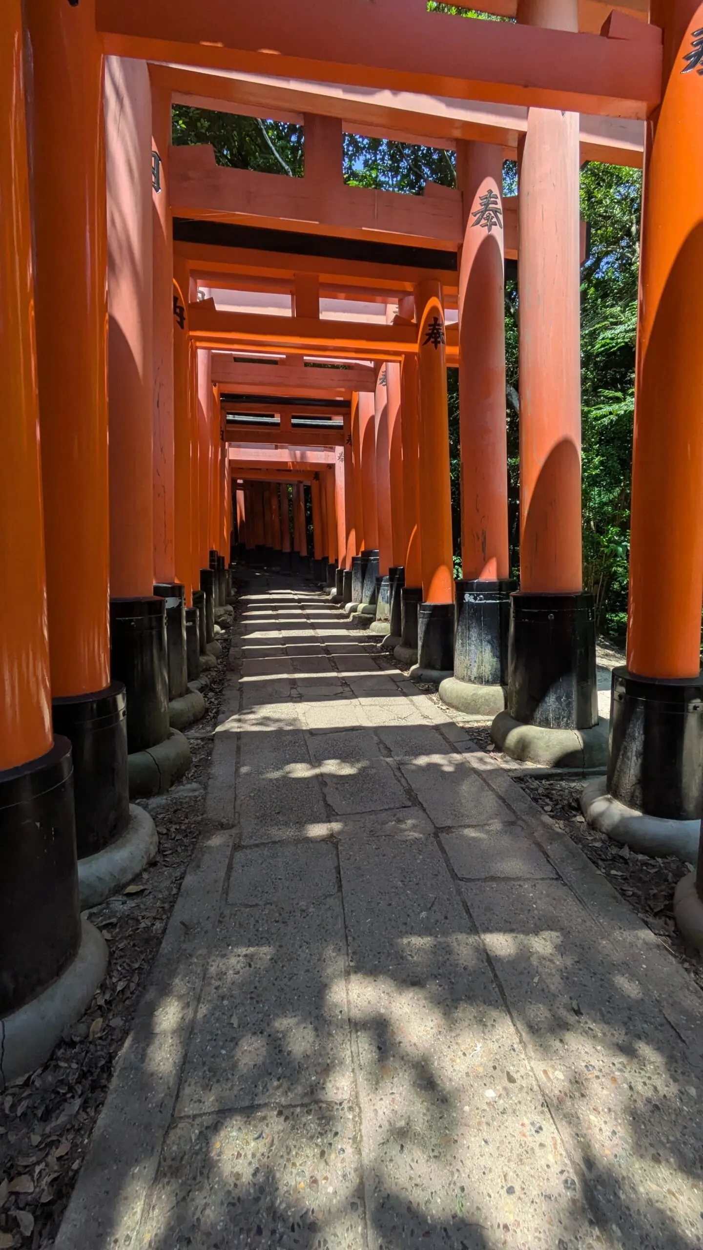 Tunnel de torii sur le sentier du Fushimi Inari Taisha