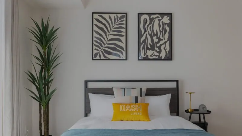 view from a room in dash living