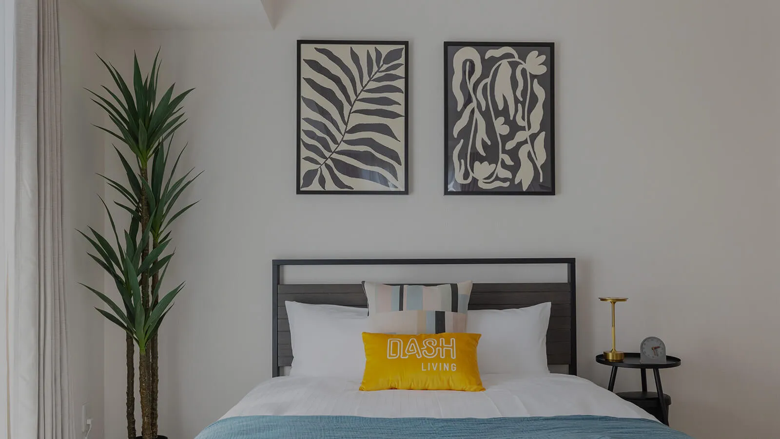 view from a room in dash living