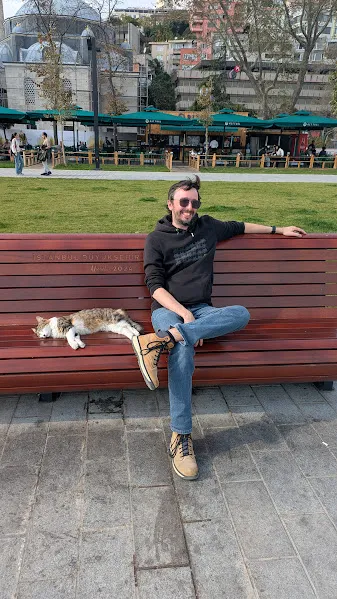 Turquie chats — Turquie